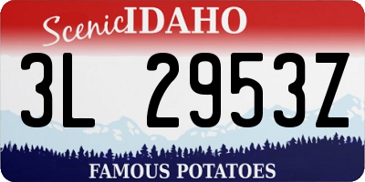 ID license plate 3L2953Z