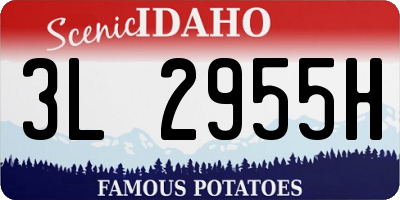 ID license plate 3L2955H