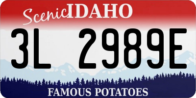 ID license plate 3L2989E
