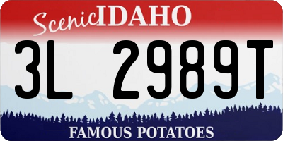 ID license plate 3L2989T