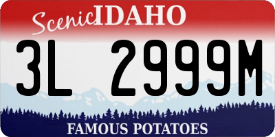 ID license plate 3L2999M