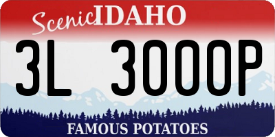 ID license plate 3L3000P