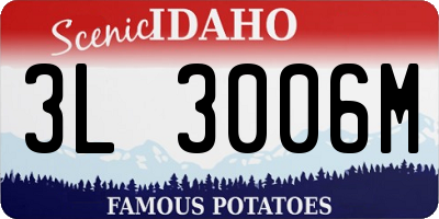 ID license plate 3L3006M