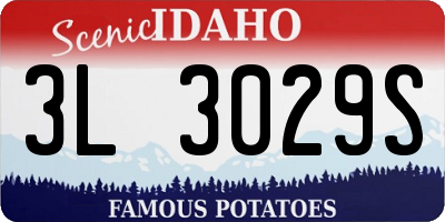 ID license plate 3L3029S