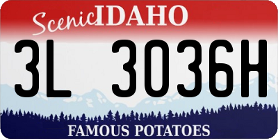 ID license plate 3L3036H