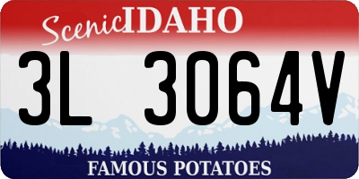 ID license plate 3L3064V