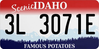 ID license plate 3L3071E