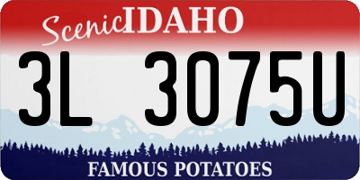 ID license plate 3L3075U