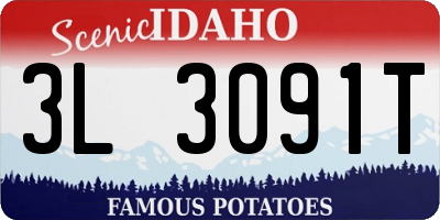 ID license plate 3L3091T