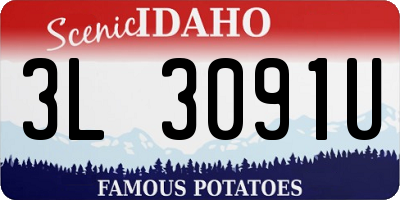 ID license plate 3L3091U