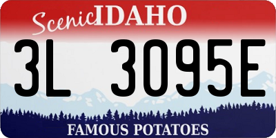 ID license plate 3L3095E