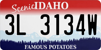 ID license plate 3L3134W