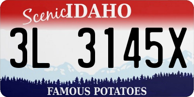ID license plate 3L3145X