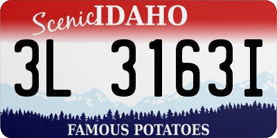 ID license plate 3L3163I