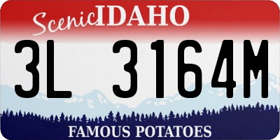 ID license plate 3L3164M
