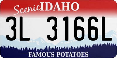 ID license plate 3L3166L