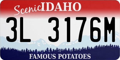 ID license plate 3L3176M
