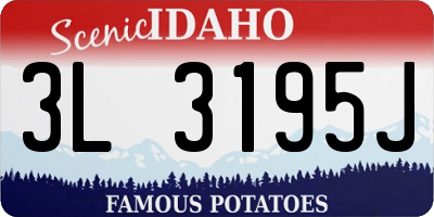 ID license plate 3L3195J