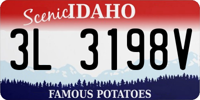 ID license plate 3L3198V