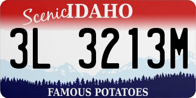 ID license plate 3L3213M