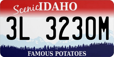ID license plate 3L3230M