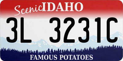 ID license plate 3L3231C