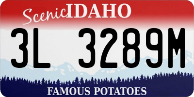 ID license plate 3L3289M