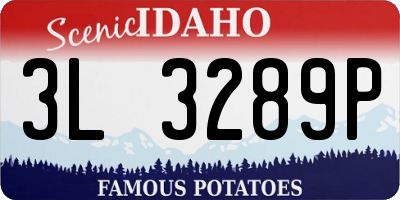ID license plate 3L3289P