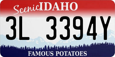 ID license plate 3L3394Y