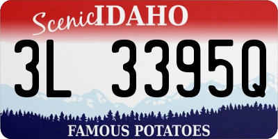 ID license plate 3L3395Q