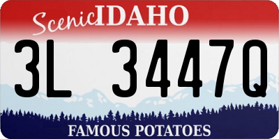 ID license plate 3L3447Q