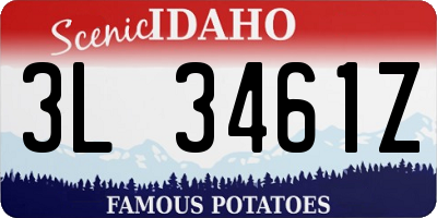 ID license plate 3L3461Z