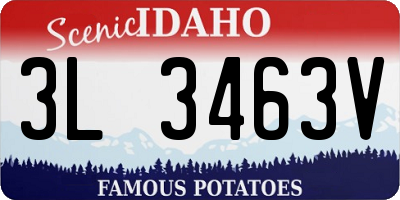 ID license plate 3L3463V