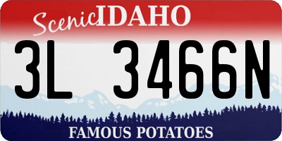 ID license plate 3L3466N