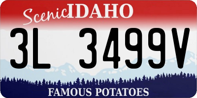 ID license plate 3L3499V