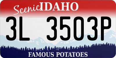 ID license plate 3L3503P
