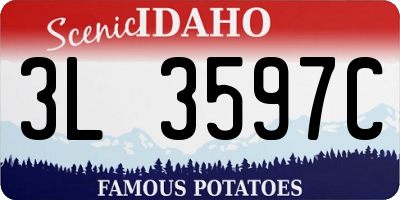 ID license plate 3L3597C