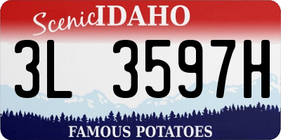 ID license plate 3L3597H