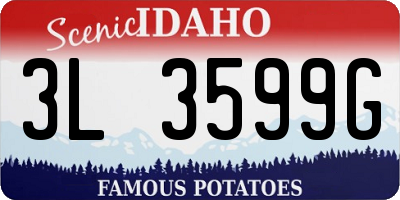 ID license plate 3L3599G