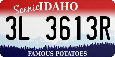 ID license plate 3L3613R