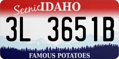 ID license plate 3L3651B