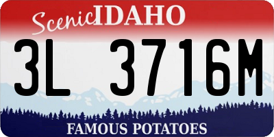 ID license plate 3L3716M