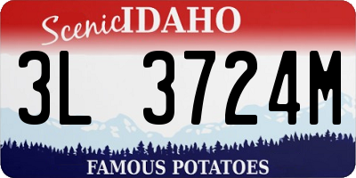 ID license plate 3L3724M