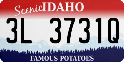 ID license plate 3L3731Q