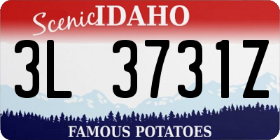 ID license plate 3L3731Z