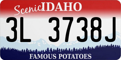 ID license plate 3L3738J