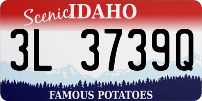 ID license plate 3L3739Q