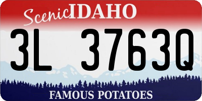 ID license plate 3L3763Q