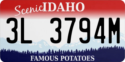 ID license plate 3L3794M