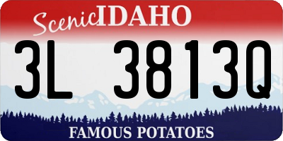 ID license plate 3L3813Q